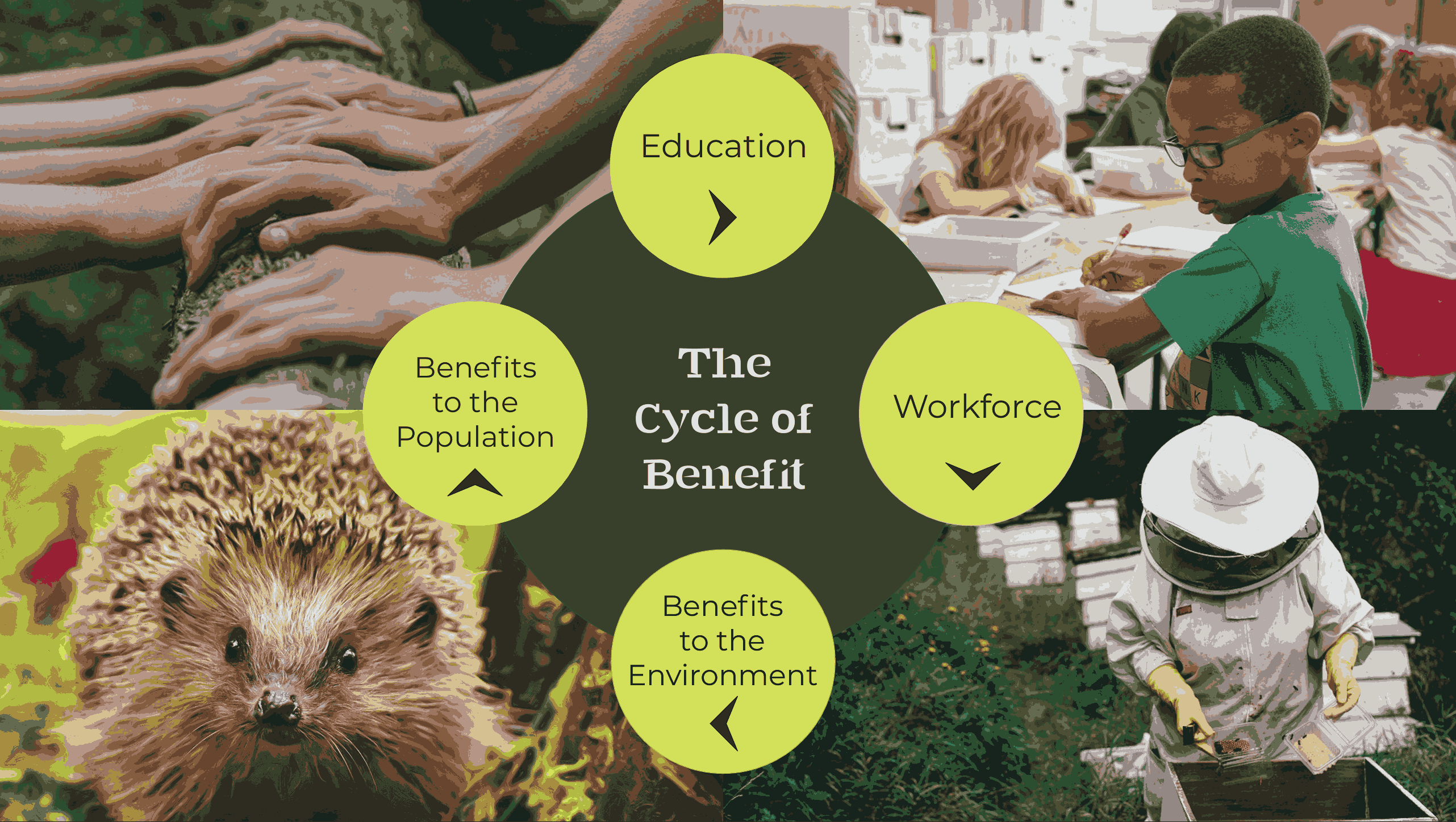  Tagoros cycle of benefit